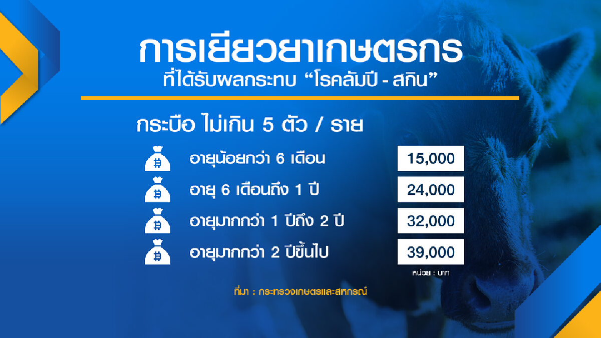 เกษตรฯจ่าย 1 พันล้าน เยียวยา ลัมปี-สกิน