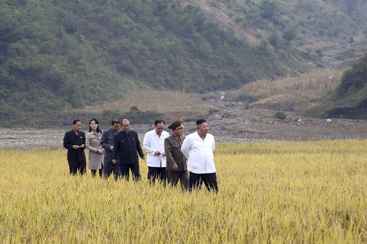 เกาหลีเหนือโหด ขโมยตรงไหนยิงทิ้งตรงนั้น