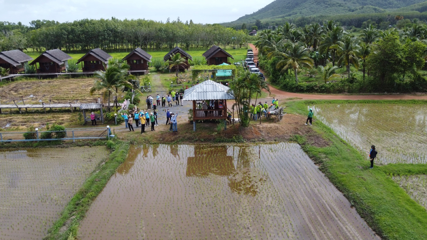 เปิดจุดชมนก นาแปลงใหญ่พังงารับท่องเที่ยวนำร่องแซนด์บ็อกซ์ 7+7