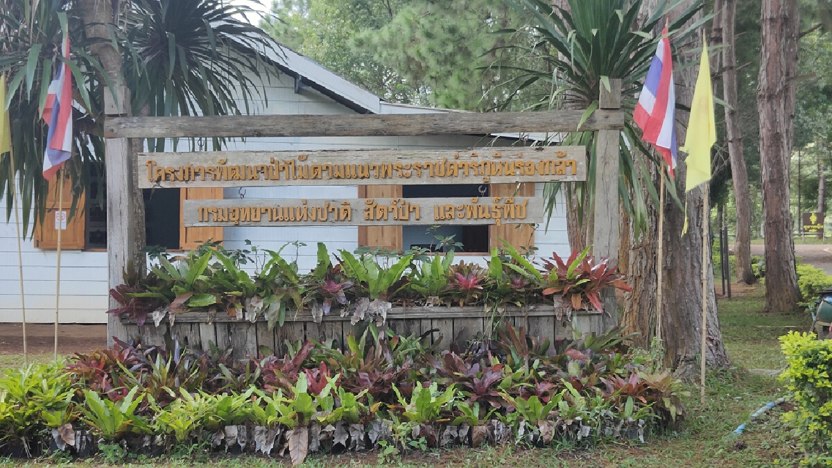 “ภูหินร่องกล้า”พร้อมเปิดรับนักท่องเที่ยว 16 ก.ย.นี้