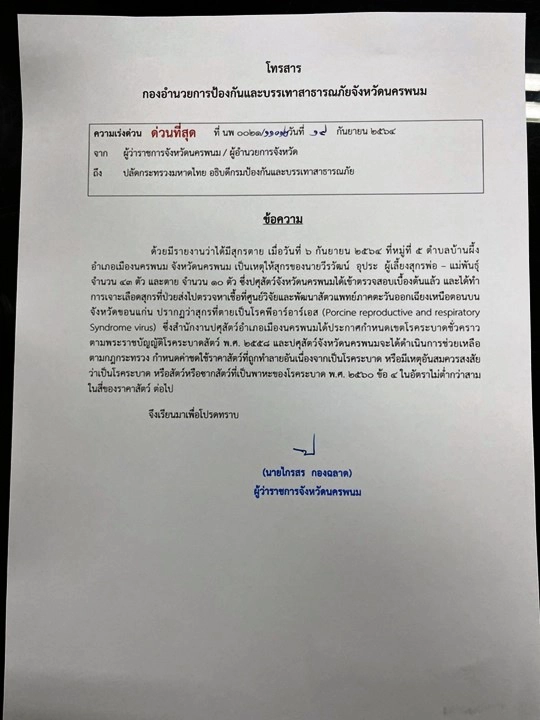 นครพนมประกาศพื้นที่โรคเพิร์สในหมู ยังไม่หยุดลาม