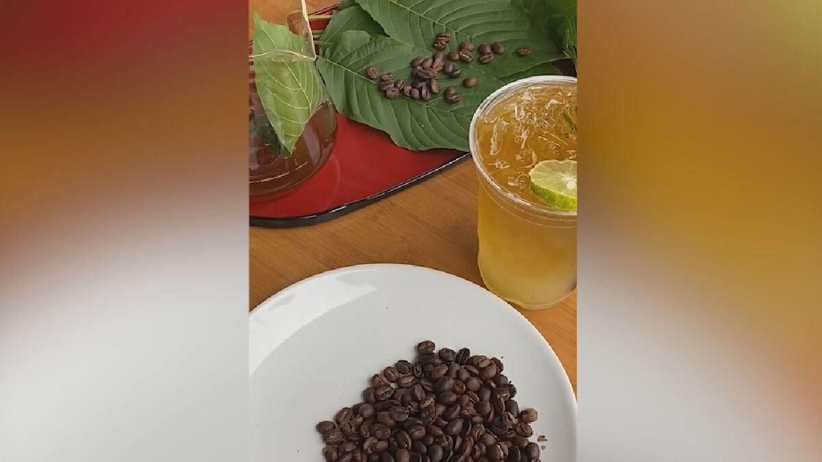 3 เมนู ใบกระท่อม ดึงคอกาแฟ สายเขียวแน่นร้าน