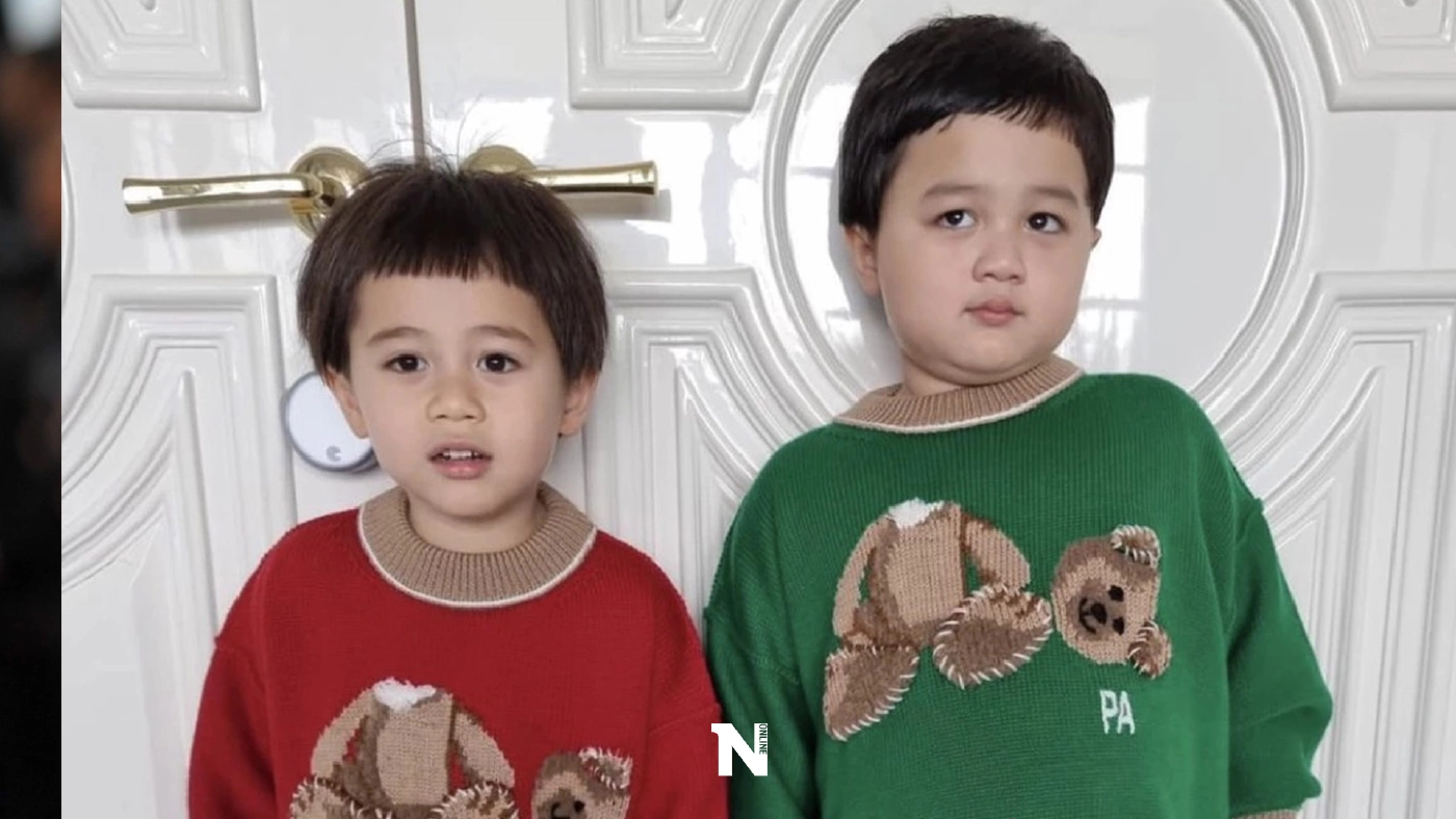 "ชมพู่ " เผย เตรียมให้คู่แฝด สายฟ้า-พายุ ดรอปเรียนออนไลน์