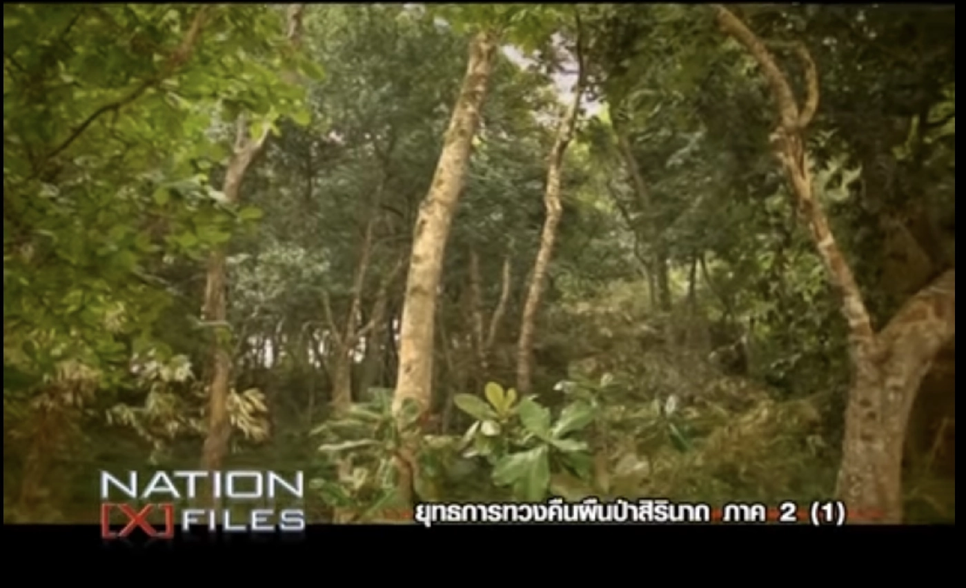 ป.ป.ช.ชี้มูลบิ๊กขรก.ภูเก็ต ทุจริตรุกป่า อช.สิรินาถ