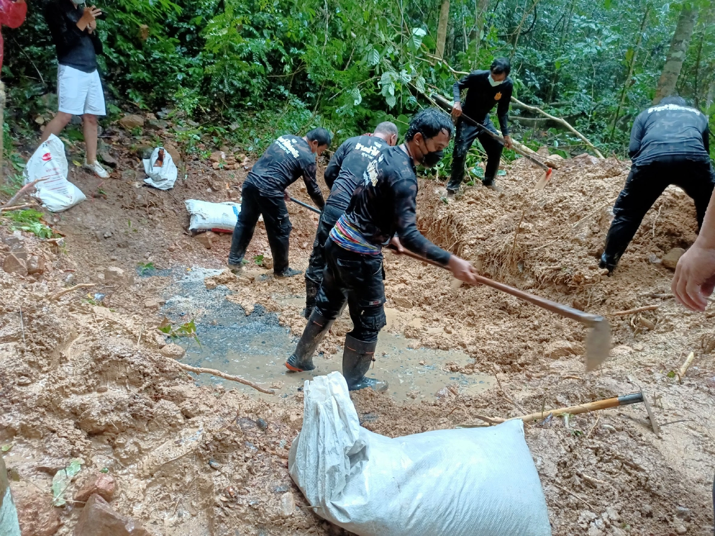 เร่งสร้างโป่งเทียมสุราษฎร์ฯ แก้ปัญหาช้างป่า