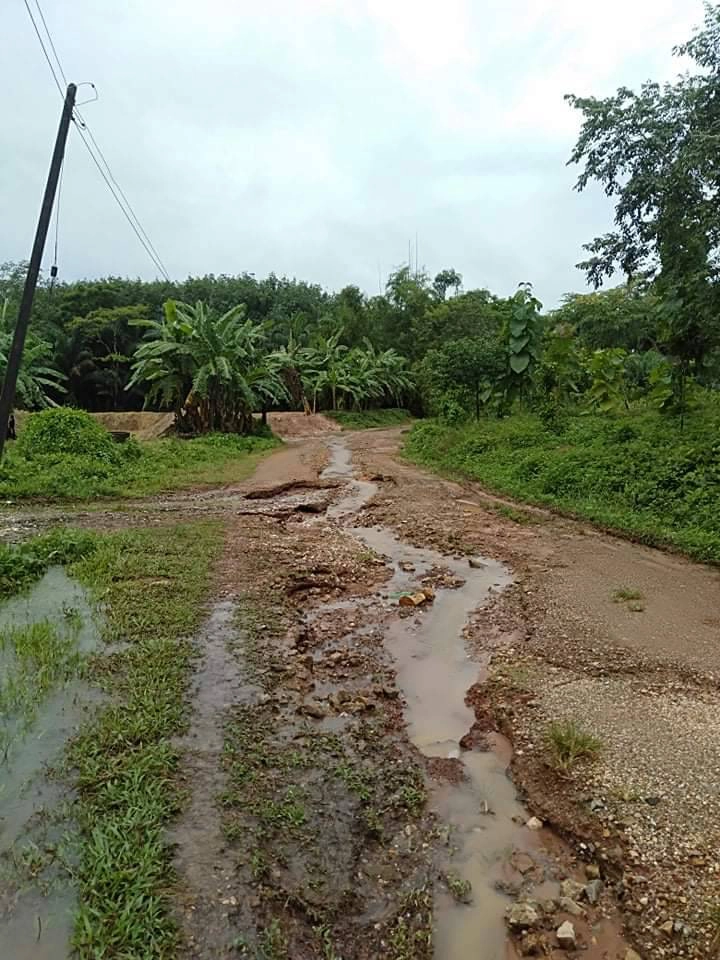 ชาวบ้านควนลอกอ จ.กระบี่ เดือดร้อนหนักถนนสัญจรไม่ได้ไร้ผู้ดูแล