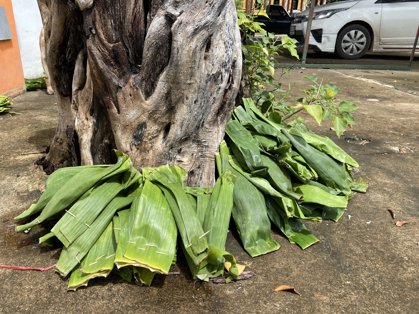 ชาวอีสานจัดทำบุญข้าวสาก ภายใต้มาตรการป้องกันโรคโควิด-19