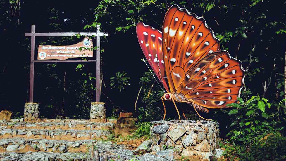 เปิดภาพมุมสูงความอุดมสมบูรณ์ของผืนป่าอุทยานแห่งชาติปางสีดา