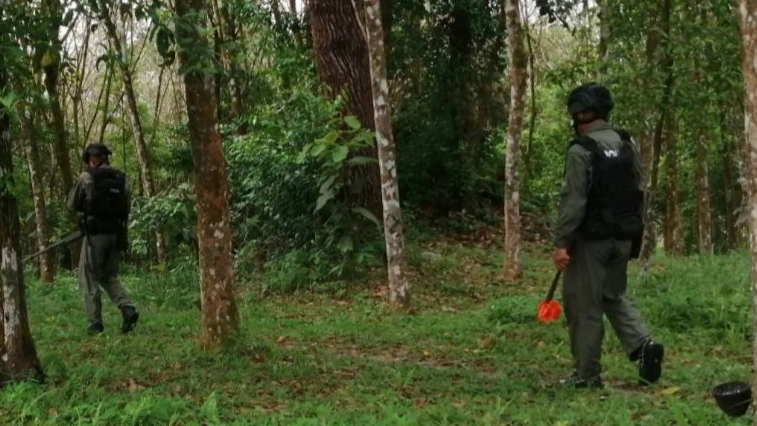 โจรใต้ป่วน! ลอบวางระเบิดในสวนยางโชคดีเจ้าของสวนพบแจ้ง EOD กู้ทัน