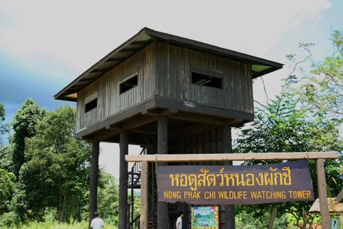 หอดูสัตว์หนองผักชี