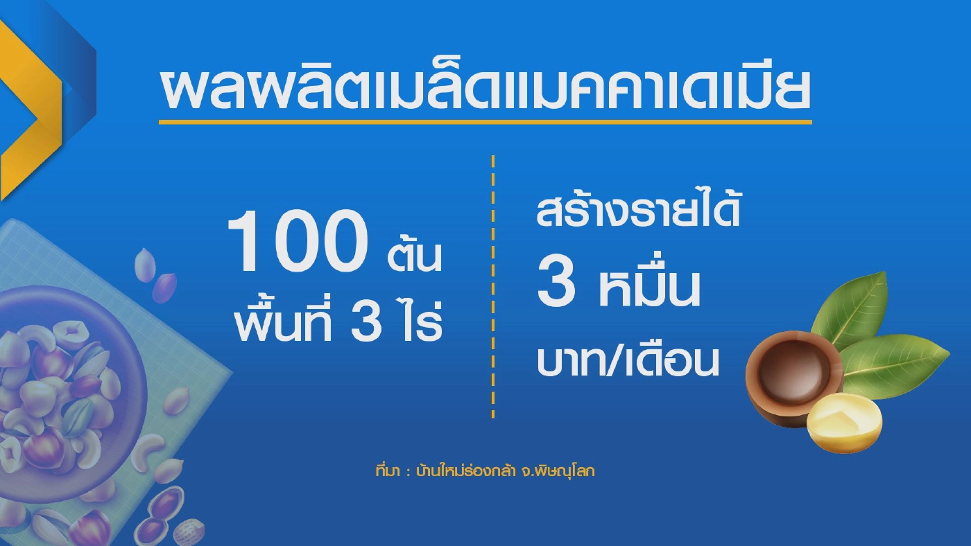 แปรรูป แมคคาเดเมีย ทำเงิน 3 หมื่น/เดือน