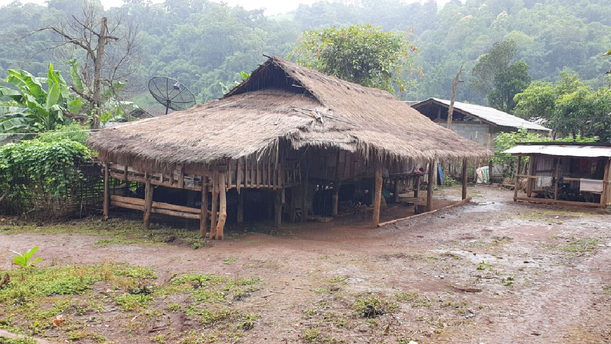 ตำรวจรอ"น้องจีน่า"แข็งแรงทั้งร่างกายจิตใจ