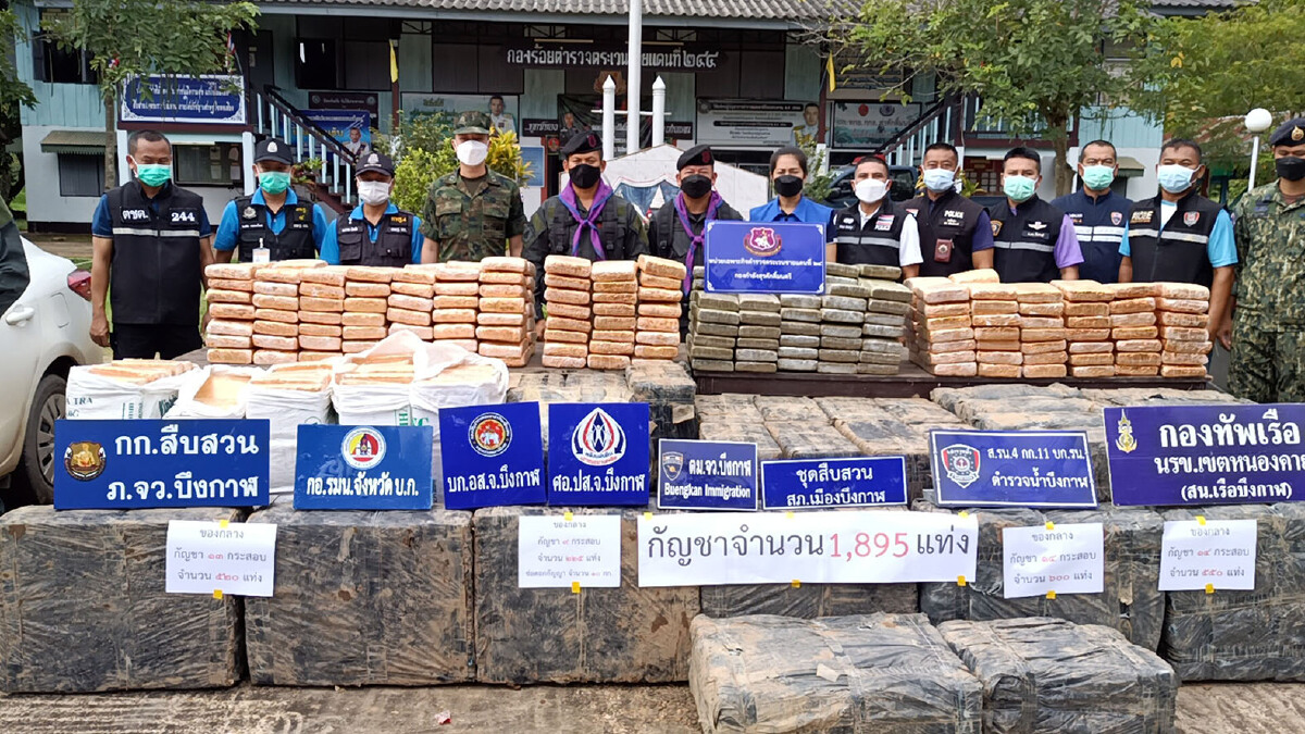 ตชด.จับกัญชาล็อตใหญ่เกือบ2พันกิโลมูลค่า 19 ล้าน