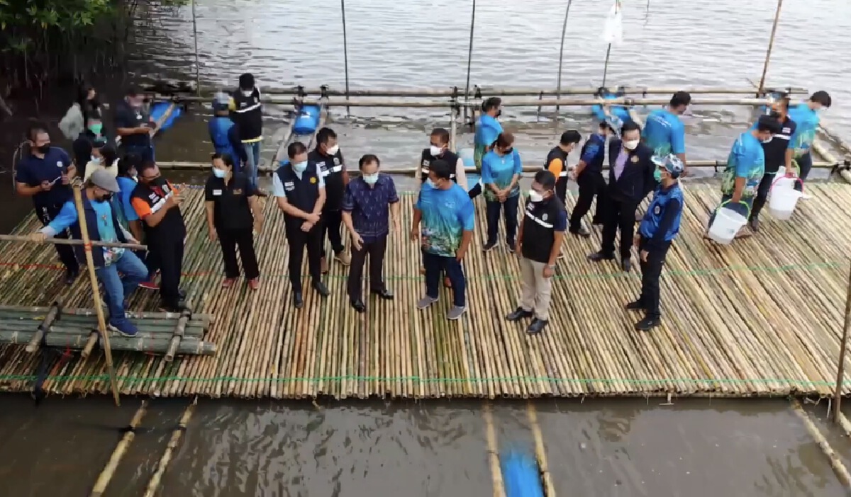 ส่งเสริมชาวประมงพื้นบ้านเลี้ยงปูอย่างยั่งยืน