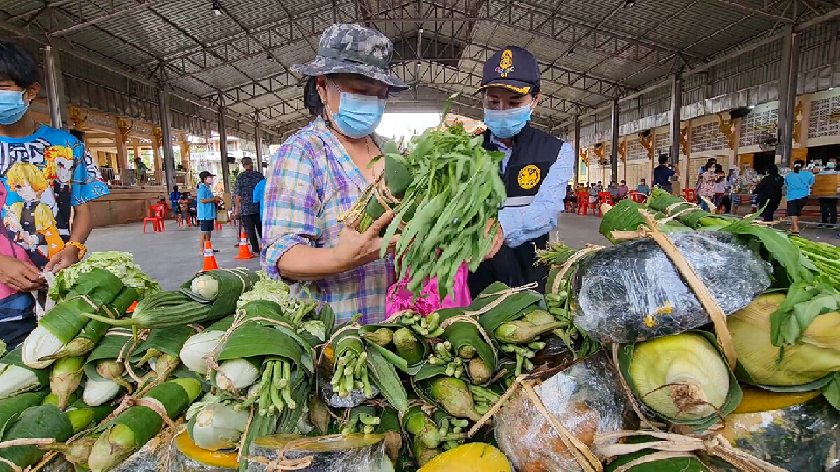 เด็ก ป.4 เหยียบบ่าปีนต้นไม้สูง 3 เมตรเก็บลูกน้ำเต้าแจกชาวบ้าน