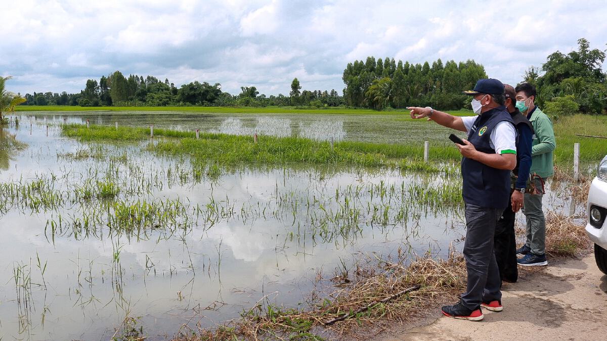 เกษตรฯ ปรับเกณฑ์ช่วยประสบภัยพิบัติด้านการเกษตรใหม่