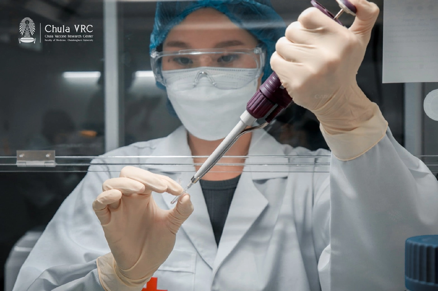 จุฬาฯ เผยวัคซีน ChulaCov19 ทดลองในคนเฟส 2 ป้องกันสายพันธุ์เดลตาได้ดี