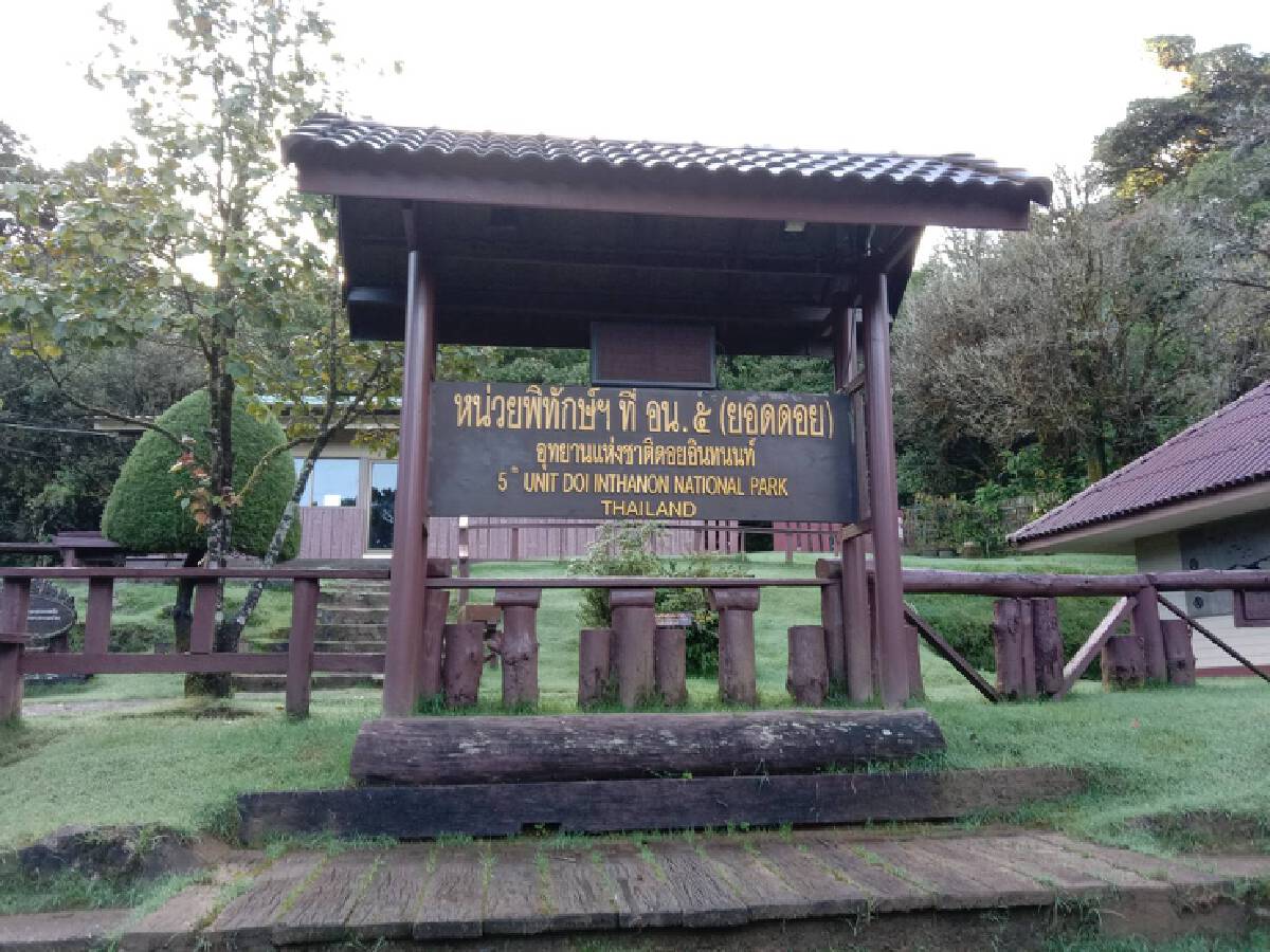 ลมหนาวเยือนอินทนนท์ทะเลหมอกโผล่งดงาม