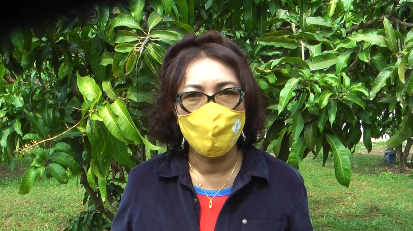 "มะม่วงแปลงใหญ่"ยกระดับสมัยใหม่-"โดรนพ่นยา-ลดต้นทุน"