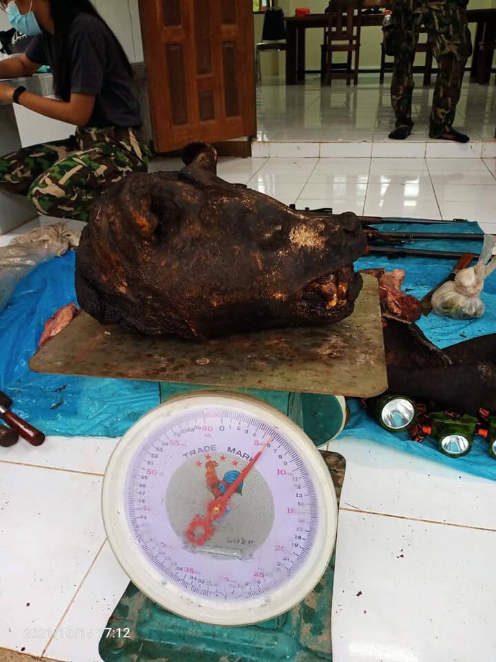 จับ2พรานป่าชาวกะเหรี่ยง-ผงะพบซากหมีหมา