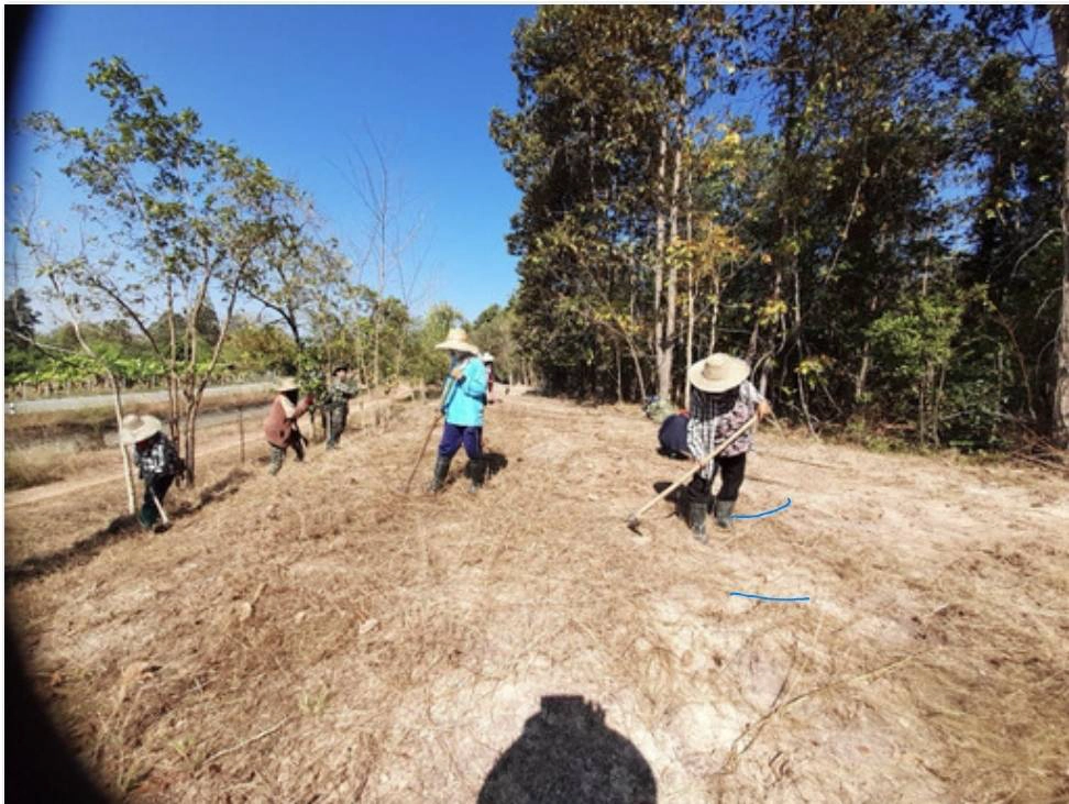 เปิดโมเดลการจัดการ "คาร์บอนเครดิต" ป่าชุมชน