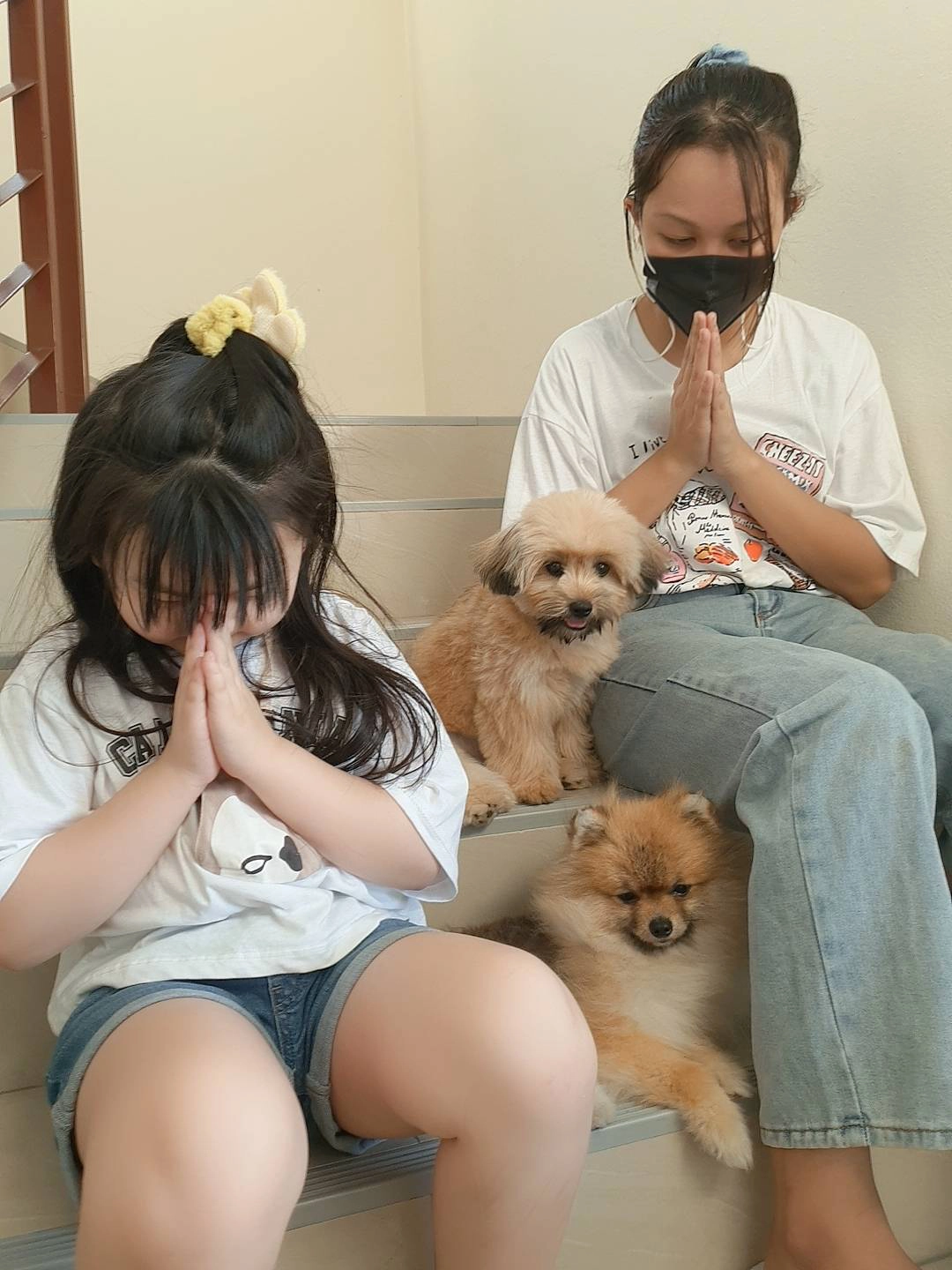 จบด้วยดี! น้องมิลินได้น้องหมาสุดรักคืนแล้ว