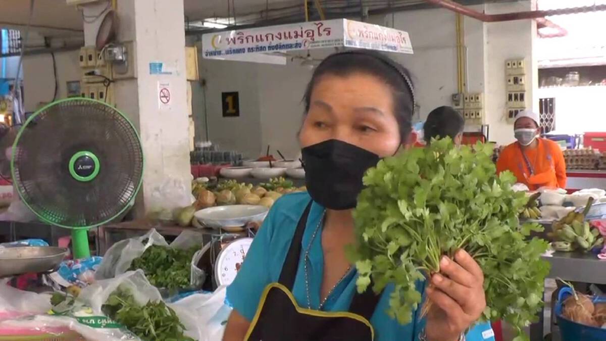 ชัยภูมิกินเจกร่อย ผักราคาพุ่งเท่าตัว