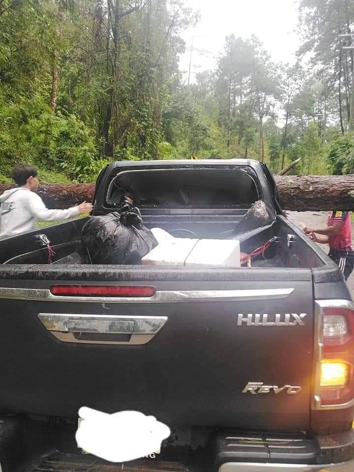 ต้นไม้ใหญ่หักโค่น ทับรถกระบะ จ.เชียงใหม่