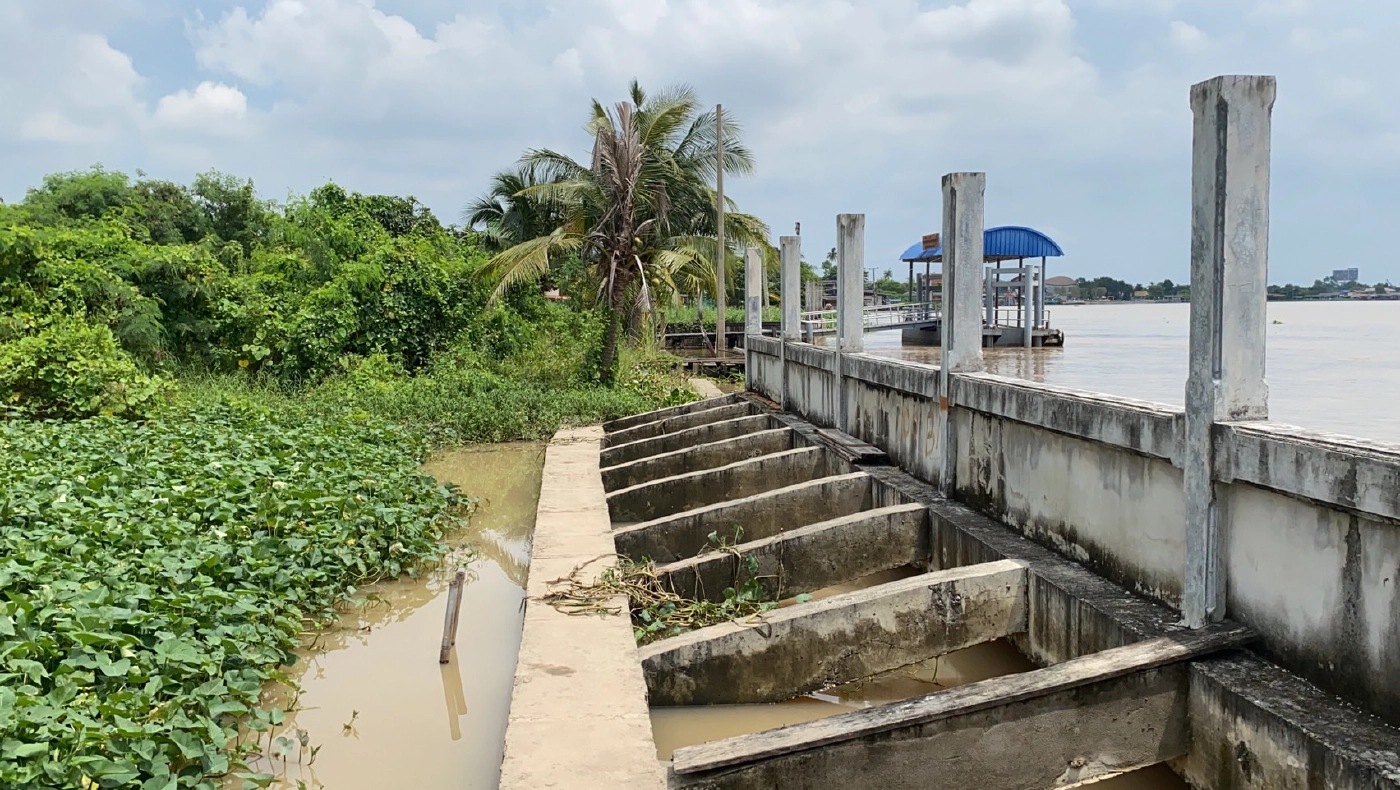 พบน้องหมาพุดเดิ้ล ลอยมากับสวะ สงสัยเป็นตัวที่หายจากเหตุเรือล่ม