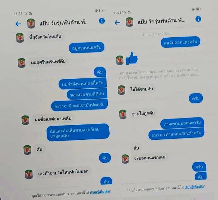 จับลักลอบค้าสัตว์ป่าคุ้มครองออนไลน์