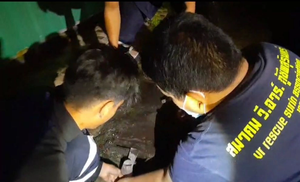 วีอาร์กู้ชีพ หัวใจสุดหล่อ งัดฝาท่อช่วยแมวน้อย เล่นซนจนตกท่อ