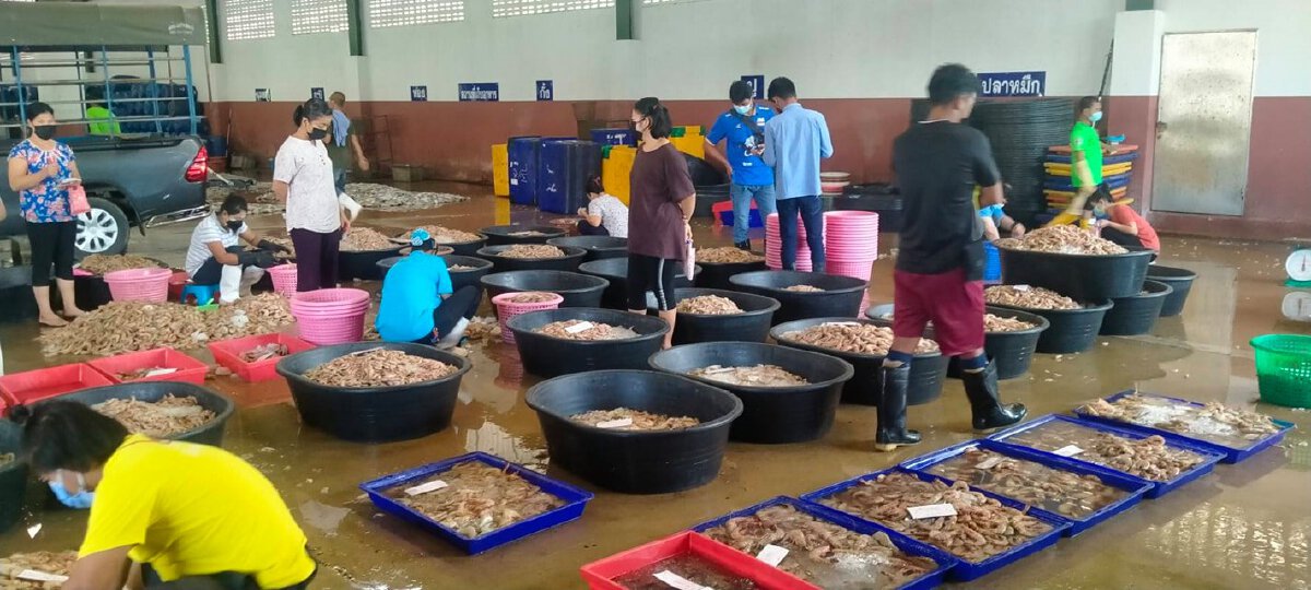 ระนองคุมเข้มเรือประมงเข้า-ออก ป้องกันการแพร่ระบาดโควิด-19