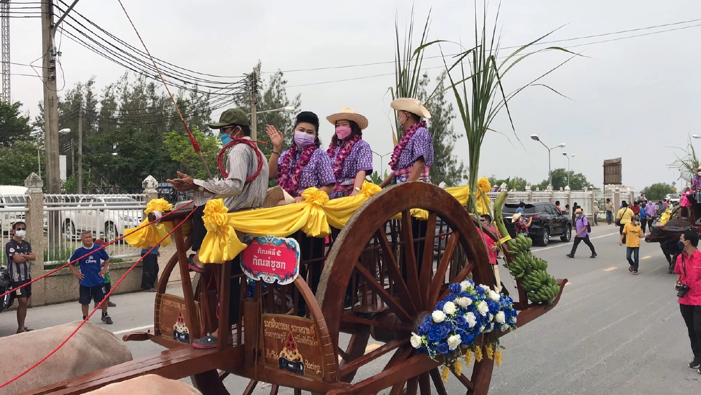 อนุรักษ์งานประเพณีวิ่งควาย แห่ขบวนเกวียนกัณฑ์รอบตลาดเมืองชลบุรี