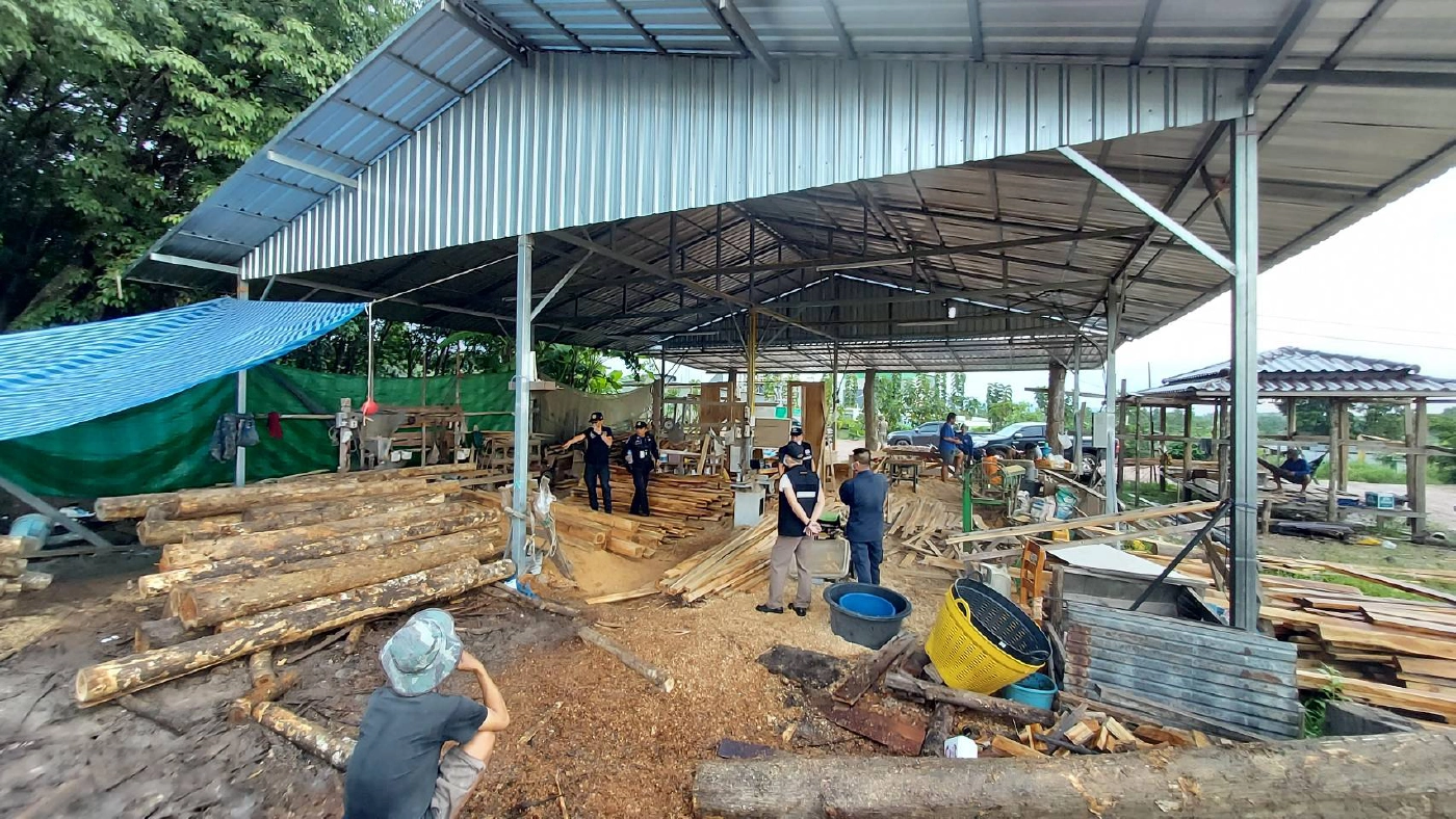 ยึดรง.แปรรูปไม้เถื่อน-ผลิตบ้านน็อคดาวน์ขาย