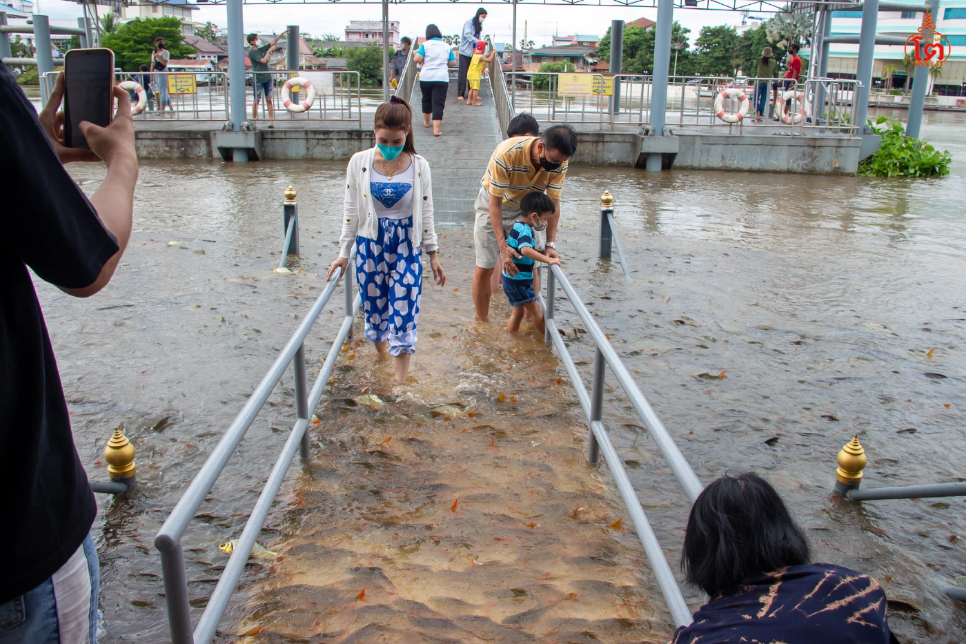 นักท่องเที่ยวให้อาหารปลาที่สะพานท่าน้ำวัดพนัญเชิง