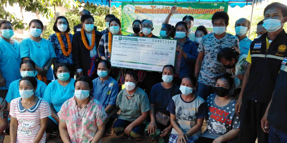 มอบโคแม่พันธุ์ให้ชาวบ้านหลังผจญพิษโควิด