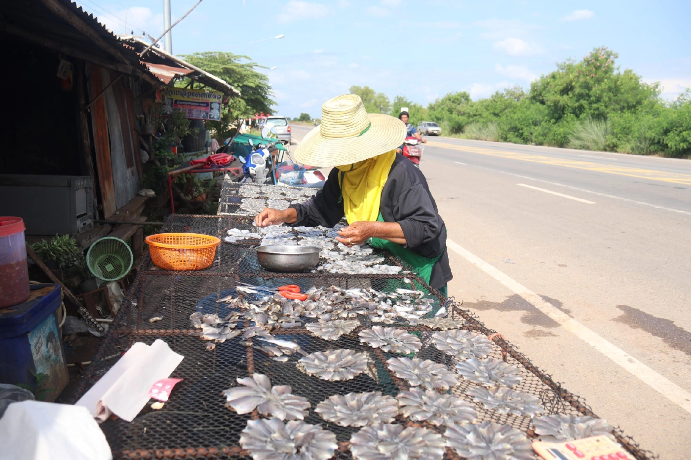 พลิกวิกฤติ"น้ำค้างทุ่ง"จับปลาขายริมถนนสร้างรายได้งาม