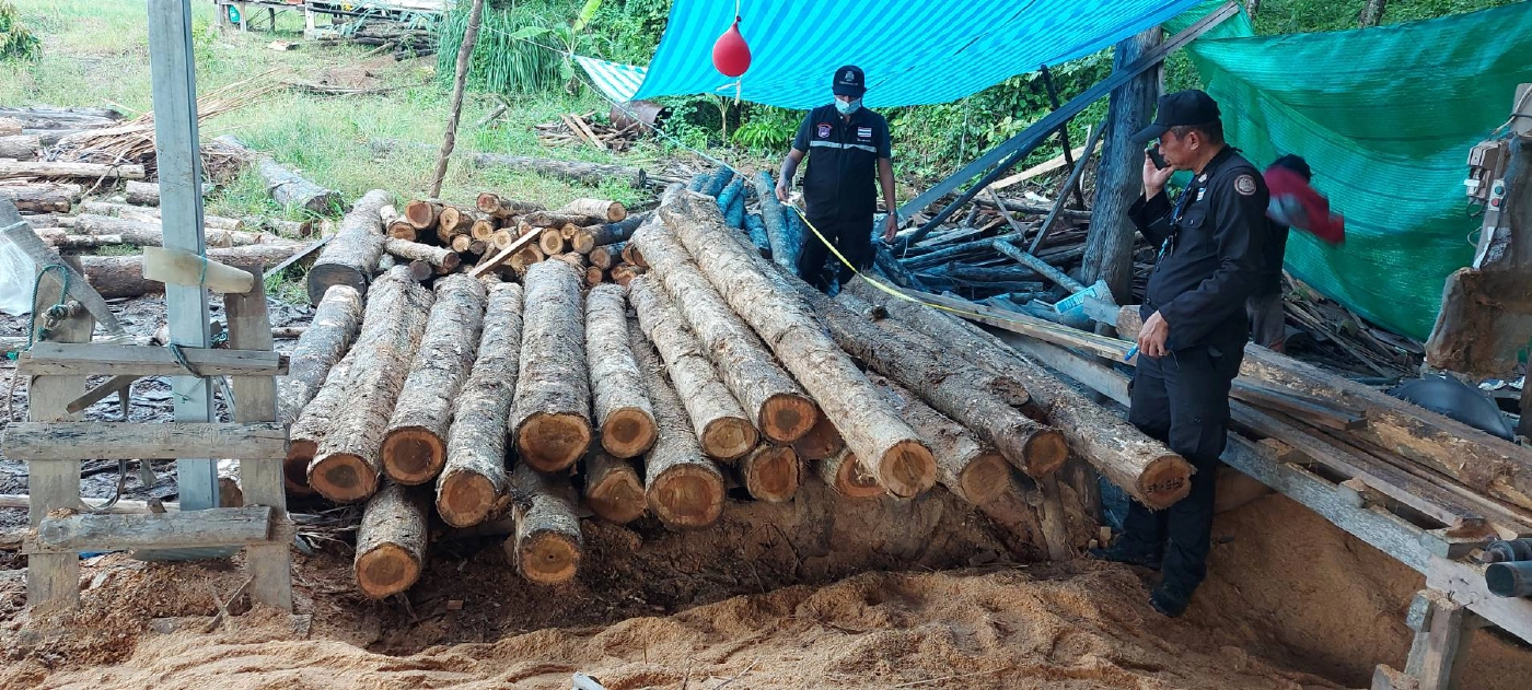 ยึดรง.แปรรูปไม้เถื่อน-ผลิตบ้านน็อคดาวน์ขาย