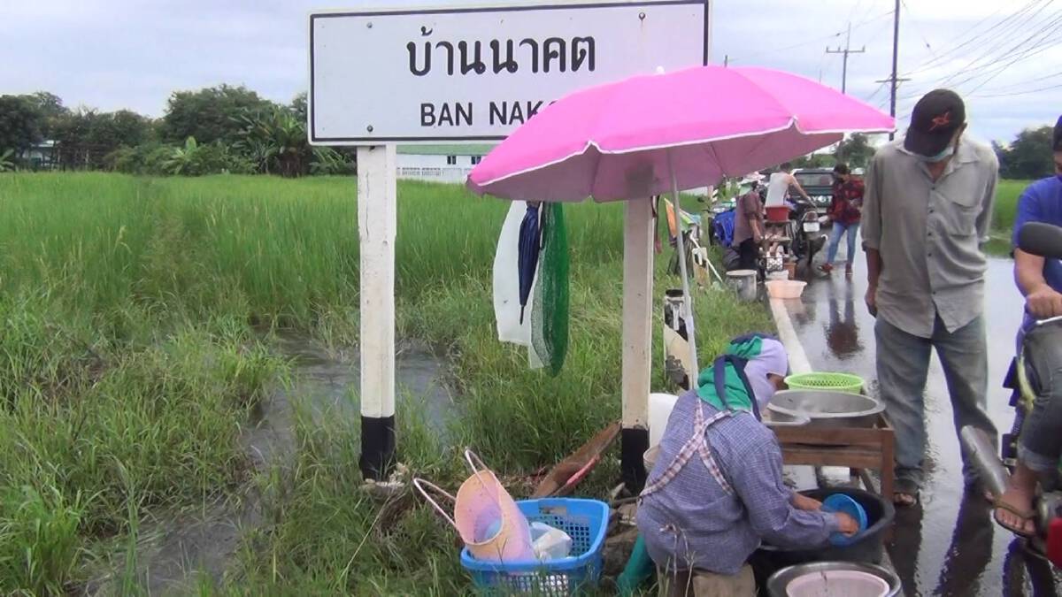 ปภ.ลำปางสั่งเฝ้าระวังดินโคลนถล่ม-น้ำป่าหลาก