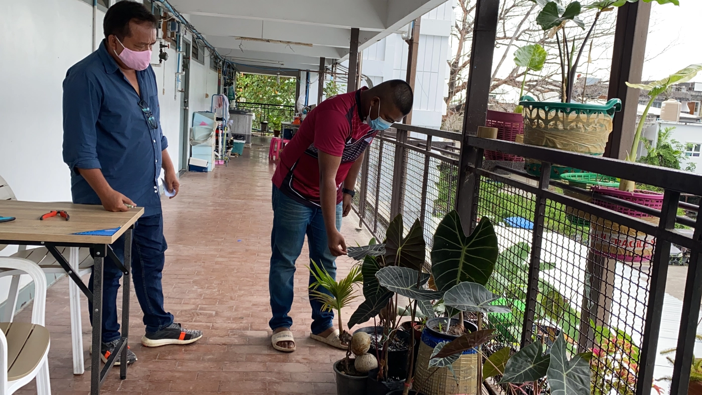 ควักเงินแสนลงทุนเพาะเลี้ยงไม้ด่าง 7 วันคืนทุน