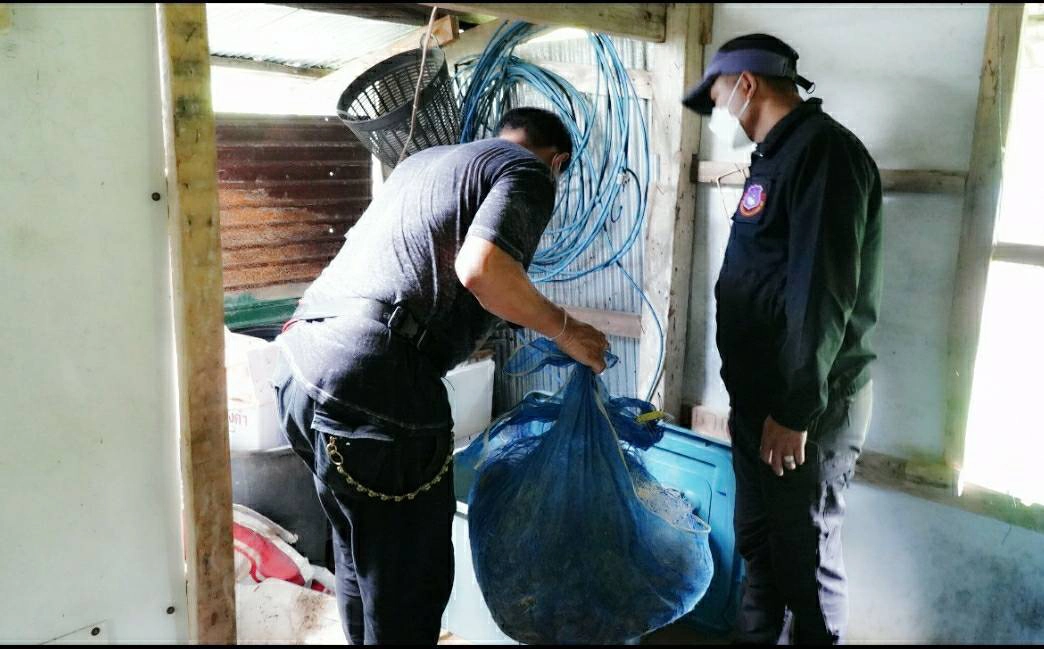 เตรียมออกหมายจับ คนสั่งการขโมยรังนกพัทลุง