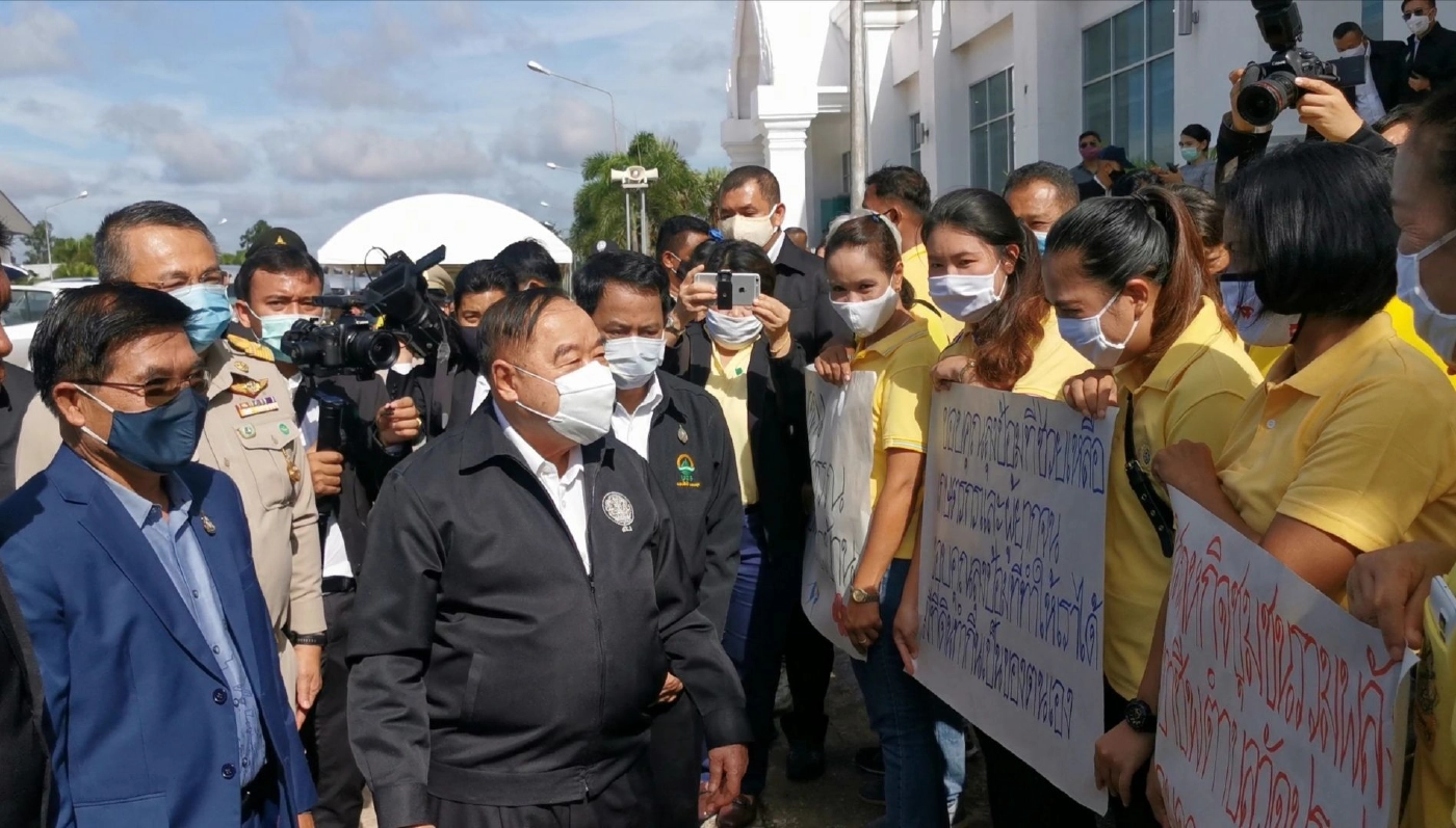 พล.อ.ประวิตร ดันราคาปาล์มทะลุ 8 บาท ส่งตัวเลขไตรมาส 3 สูงถึง 81,000 ล้านบาท