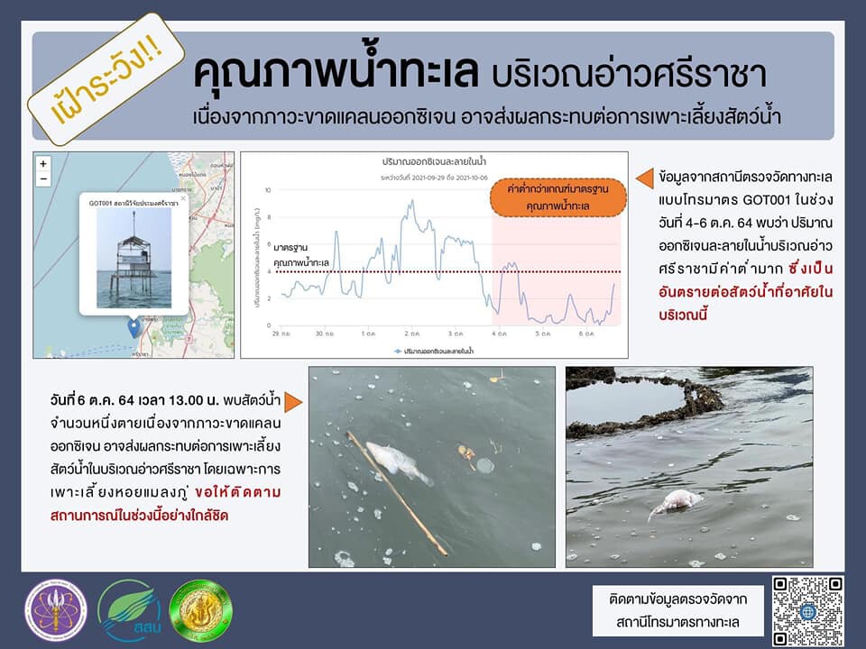 "ดร.ธรณ์" ห่วงน้ำจืดลงทะเลเยอะ ส่งผลต่อปะการัง-ขยะทะเล