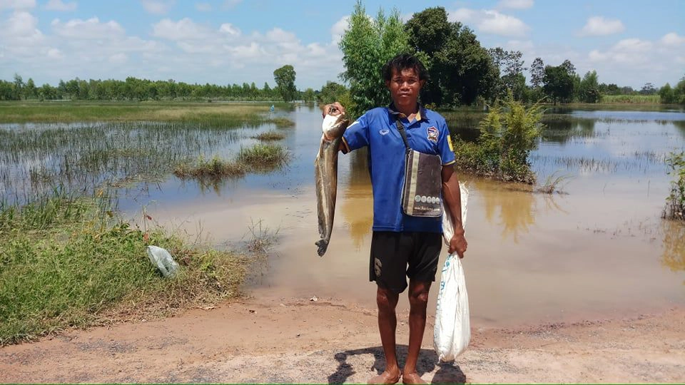 เกษตรกรน้ำตาริน นาข้าวถูกน้ำท่วมเสียหาย วอนหน่วยงานรัฐเยียวยา