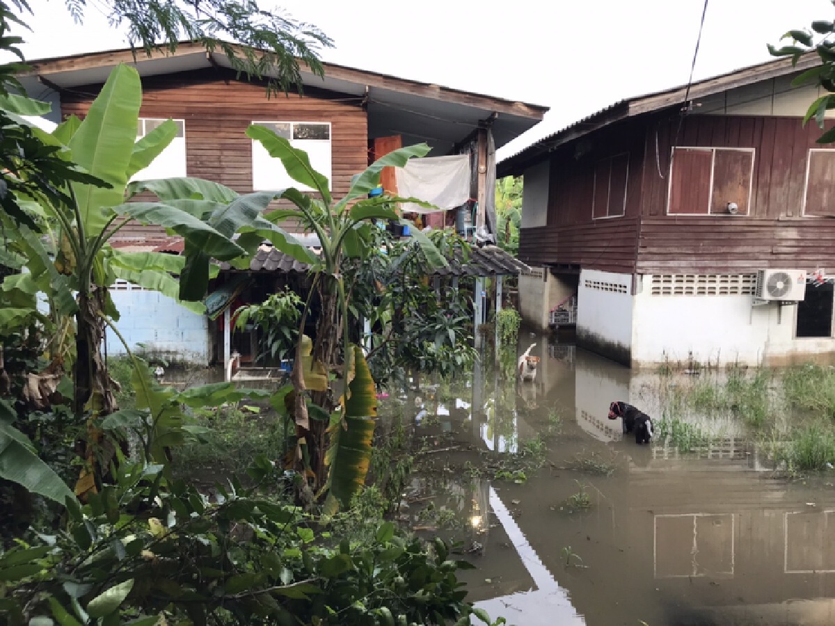 ชาวบ้านวอนหน่วยงานเข้าช่วย น้ำเอ่อล้นสาเหตุประตูระบายน้ำชำรุด
