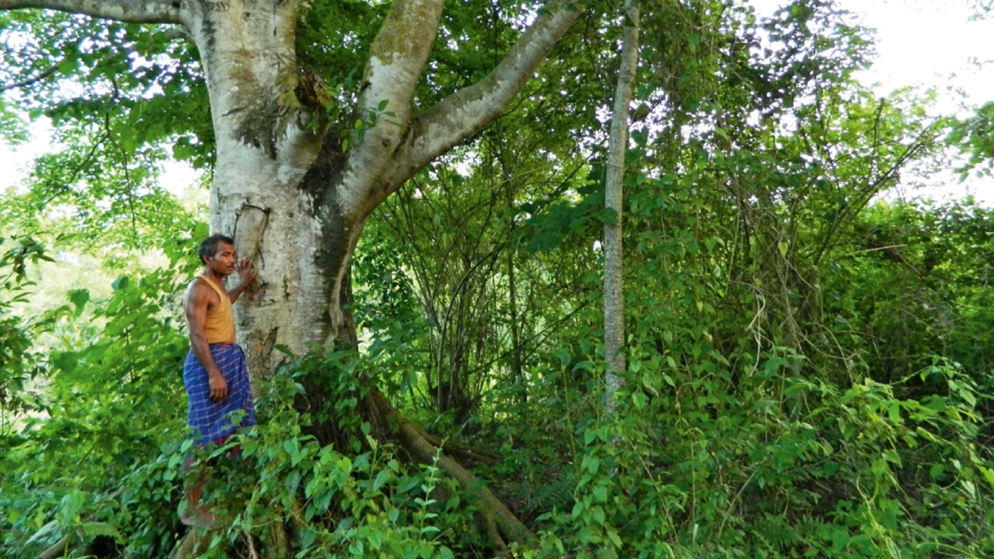 จาดาฟ ปาเยง ผู้อุทิศเวลากว่า 40 ปีเพื่อปลูกต้นไม้