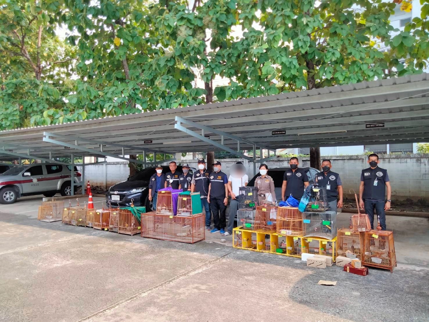 จับพ่อค้า“นก”ขายออนไลน์ เปิดห้องเลี้ยงกลางกรุง