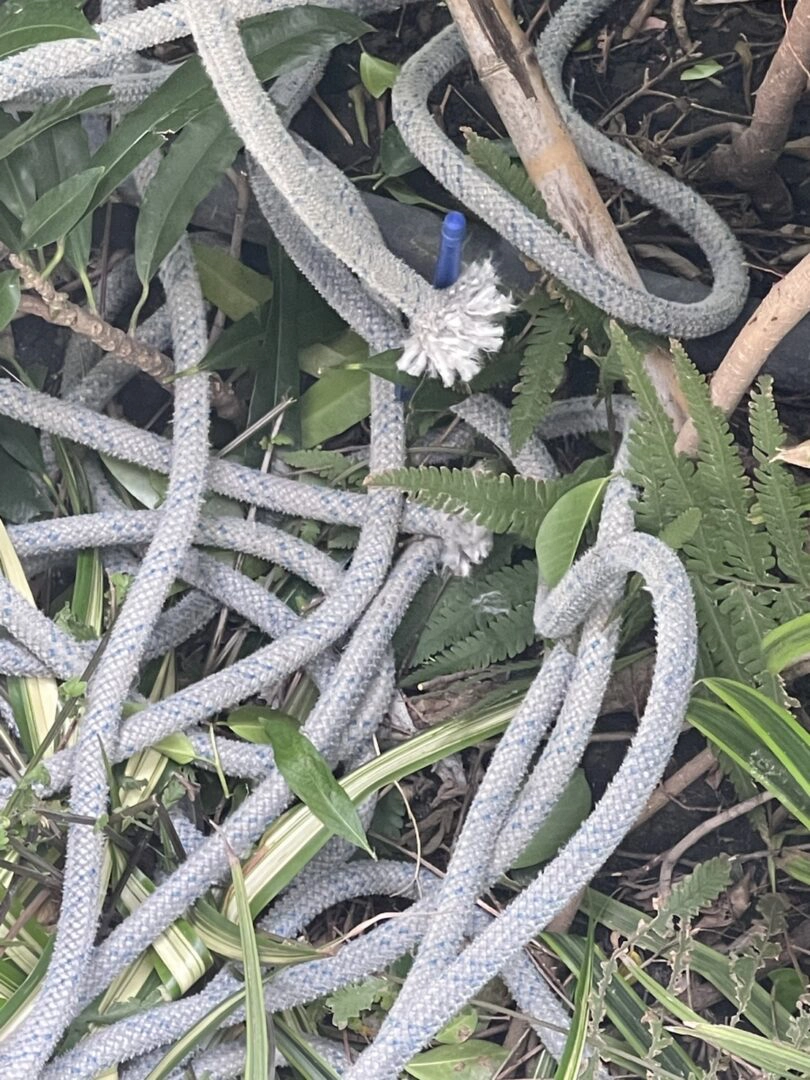 สาววัย34 มือตัดเชือกช่างทาสี พบประวัติชอบโทรป่วนตร.