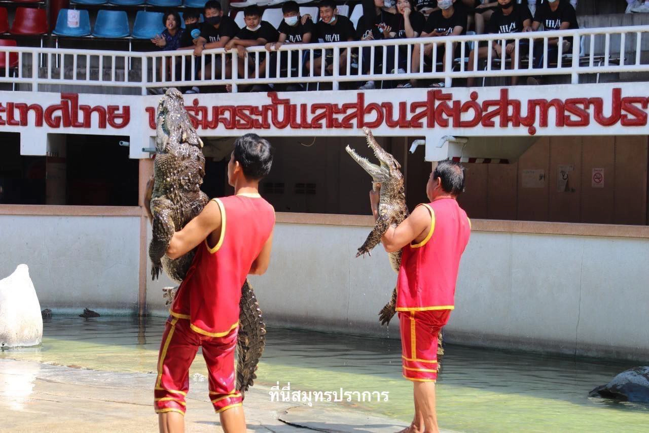 การแสดงของฟาร์มจระเข้และสวนสัตว์สมุทรปราการ