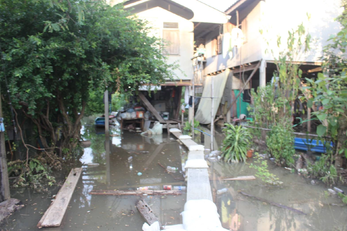 ระดับน้ำยังทรงตัวชาวชุมชนวัดโคกหวั่นกลัวน้ำเท่าปี 54